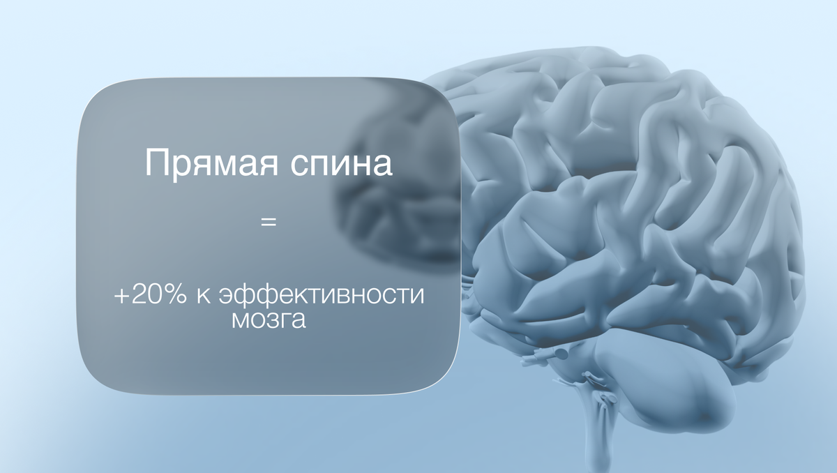 Прямая спина = +20% к эффективности мозга