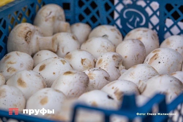    Фото: Пруфы.рф