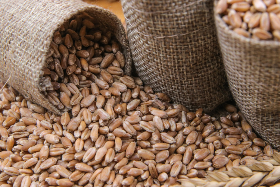    Сергей Булкин/NEWS.ru