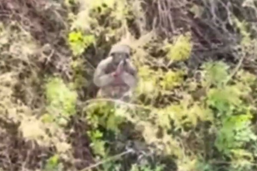    Кадр: Telegram-канал «Северный Ветер»