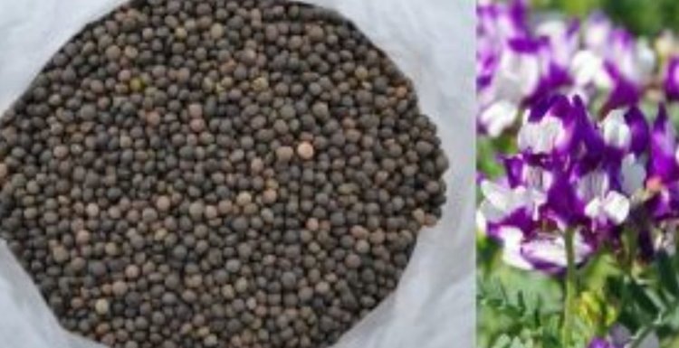    Фото: Управление Россельхознадзора по Орловской и Курской областям