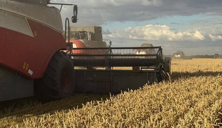    Фото: Правительство Омской области