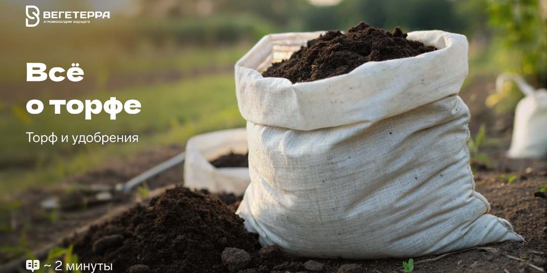 Почвы на пределе: как низинный торф и органика могут вернуть плодородие