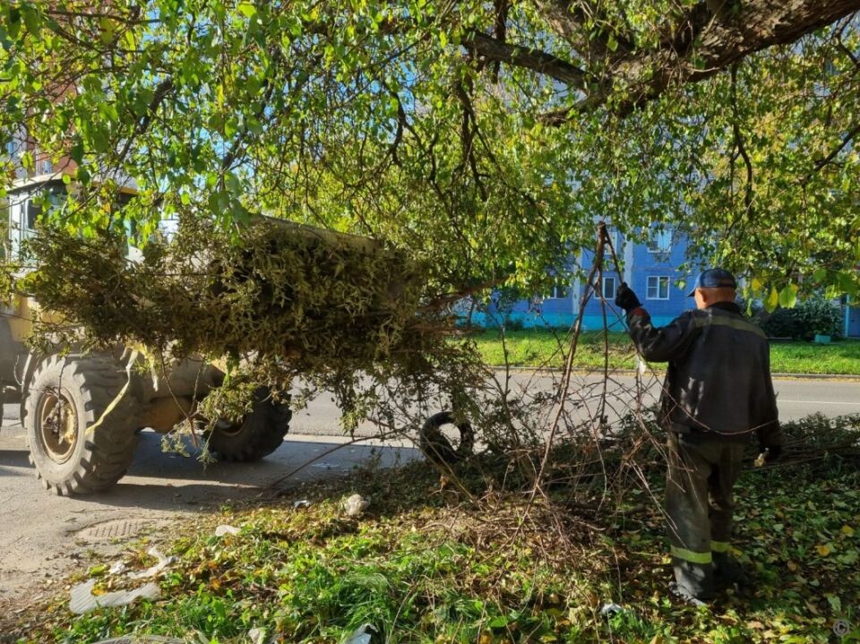    Уборка листвы и веток в Барнауле. Источник: barnaul.org