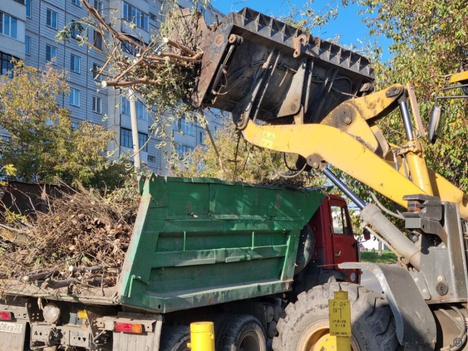    Уборка листвы и веток в Барнауле. Источник: barnaul.org