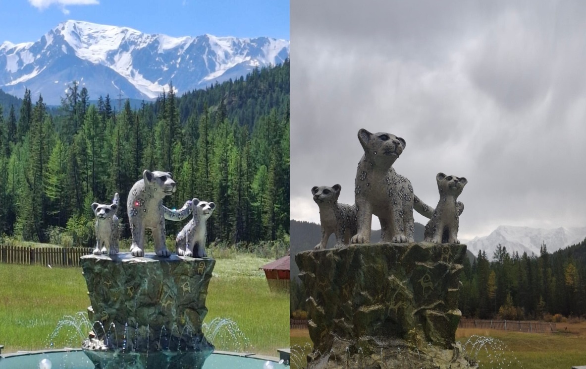 Лето - Осень. Такие контрасты.