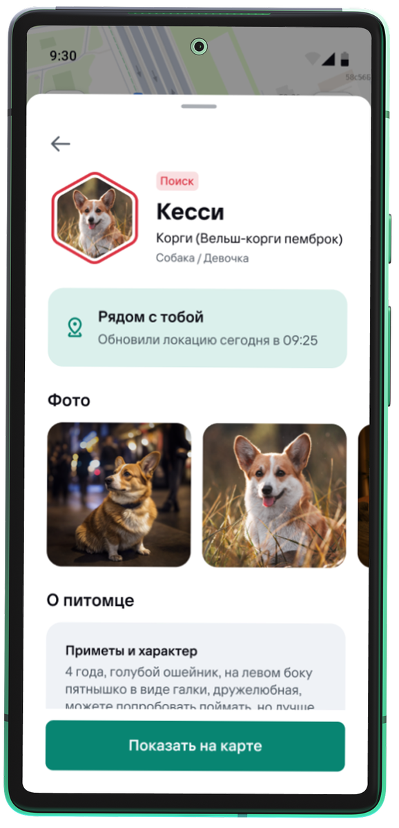 Фото: предоставлено «Лабораторией Касперского»