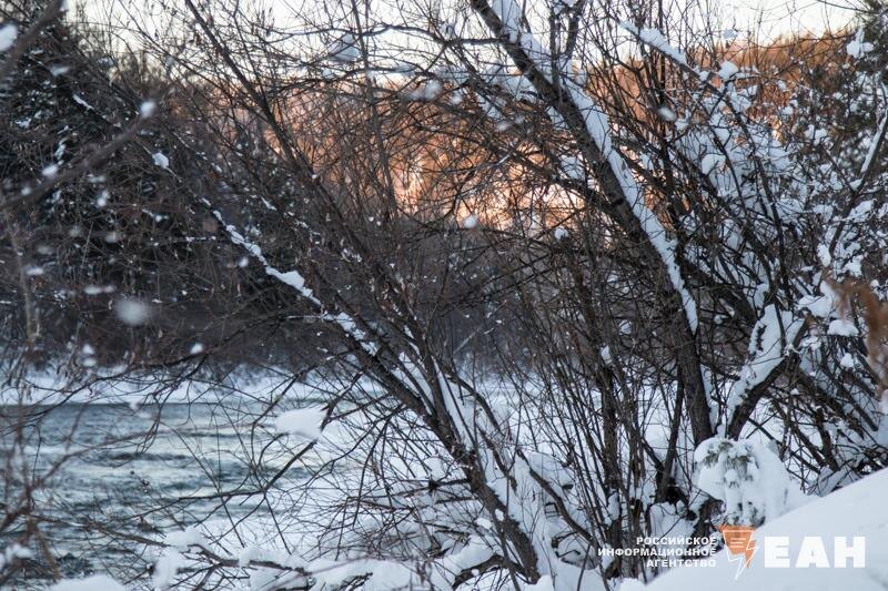    ЕАН. Ветки под снегом