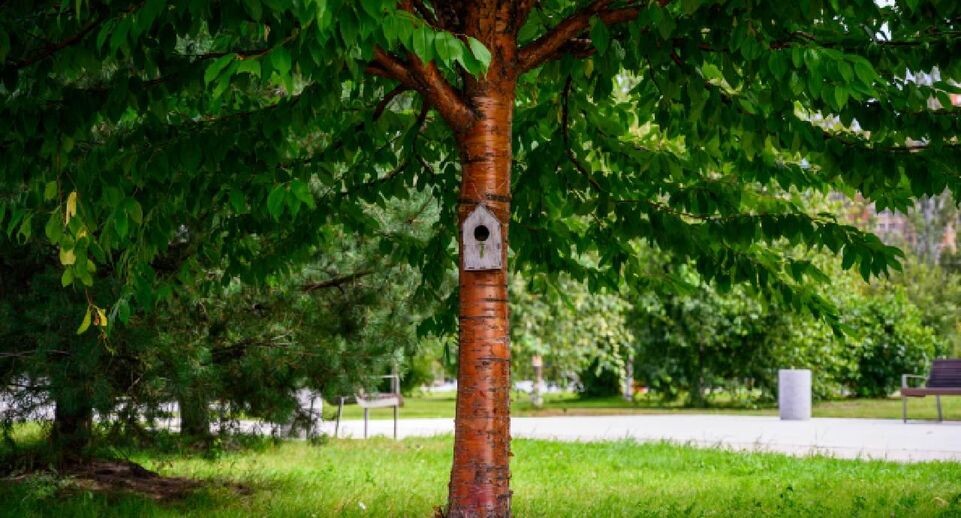    Медиасток.рф