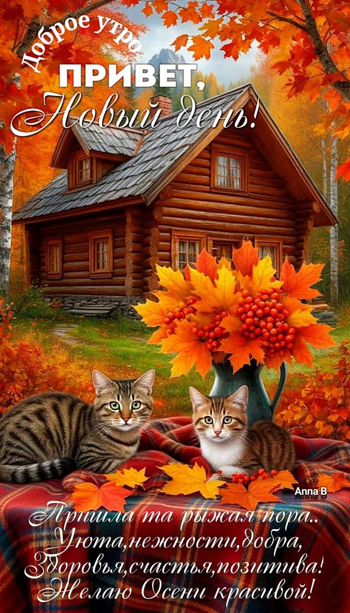 Фото из интернета 