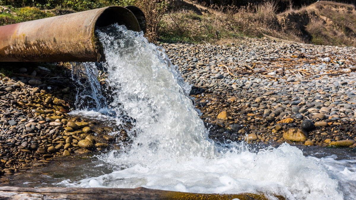     Фото: Vastram/Shutterstock/FOTODOM