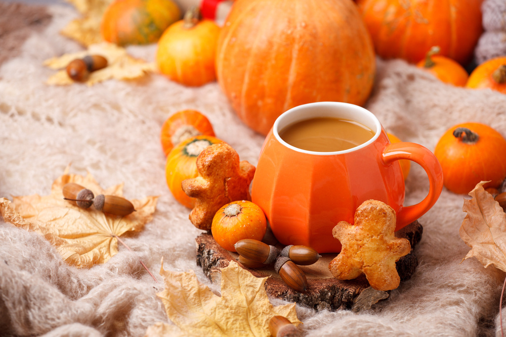 картинка из открытых источников 