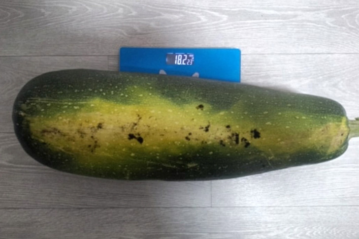    Фото: "Краснозерская новь"