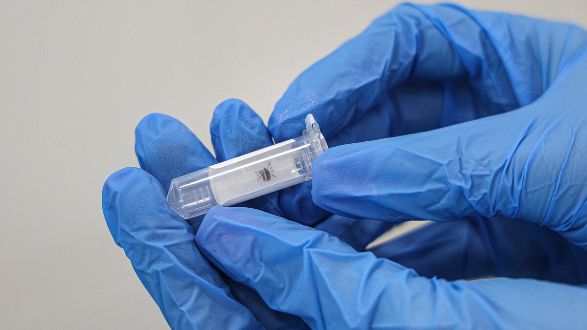    Фото: Andrey Titov/globallookpress.com