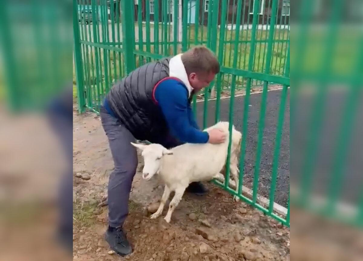    Кадр: Telegram-канал Николая Хрычова