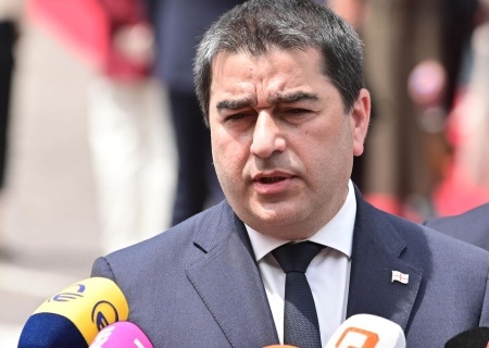    Спикер грузинского парламента обвинил Зеленского в неблагодарности и призвал провести выборы