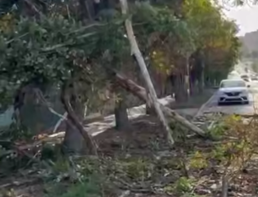    фото: соцсети Редактор