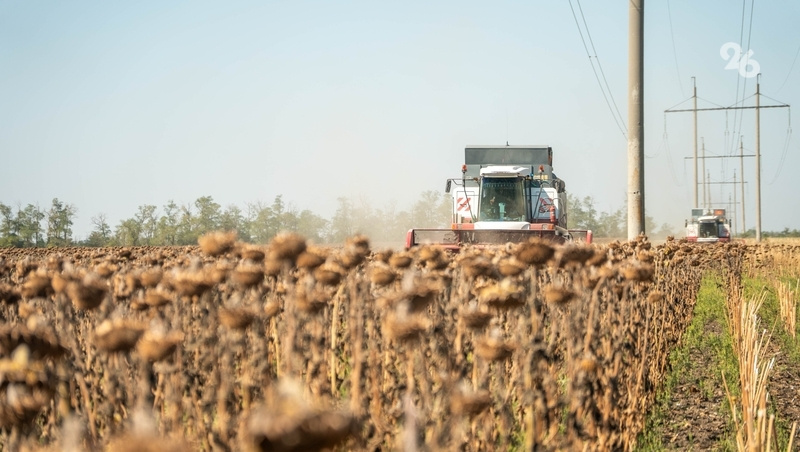      Фото: ИА «Победа26»