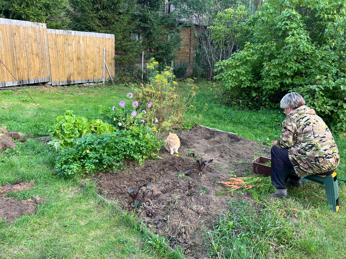 Базис и его "мама" Лена. Из подброшенного умирающего котенка выросло 8 кг счастья))