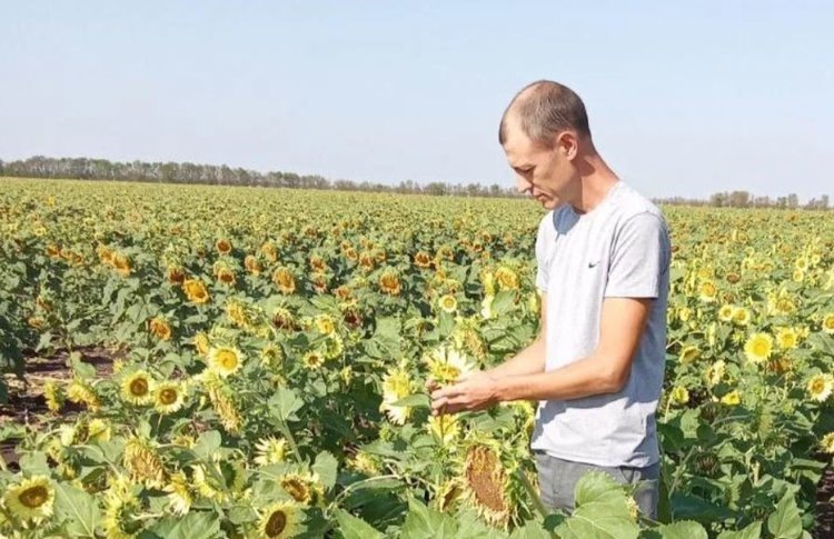    Фото: Служба по связям с общественностью филиала «Донецкий» Российского сельскохозяйственного центра
