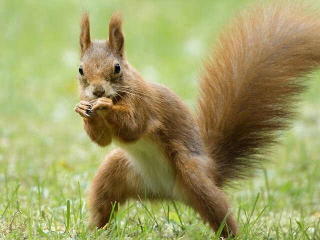    Фото: 123RF/gehapromo