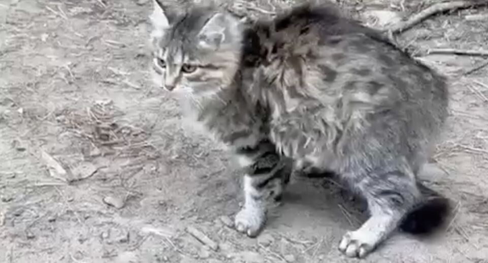    Николай Хрычов / «ВКонтакте»