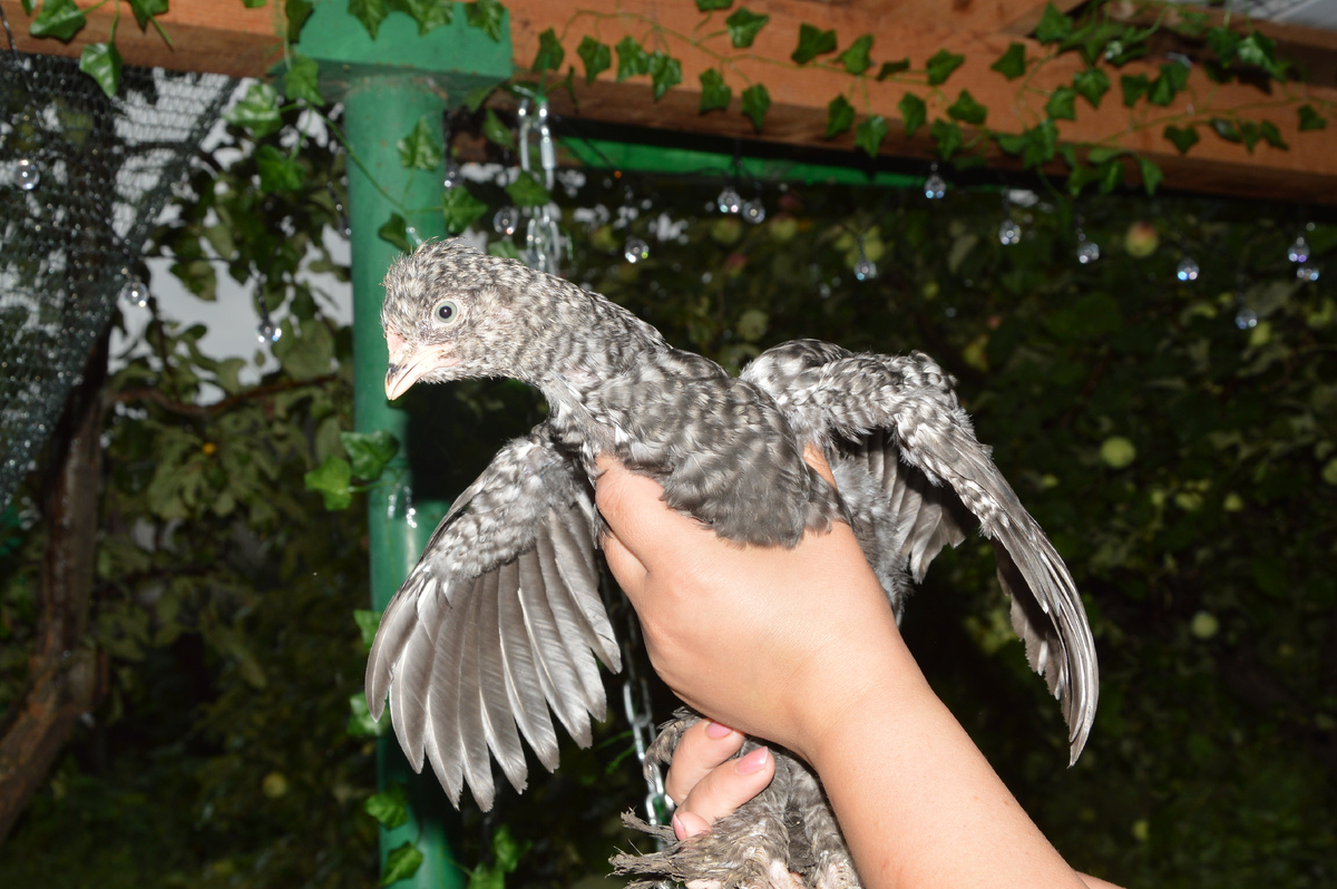 Фото Рустама Ягафарова