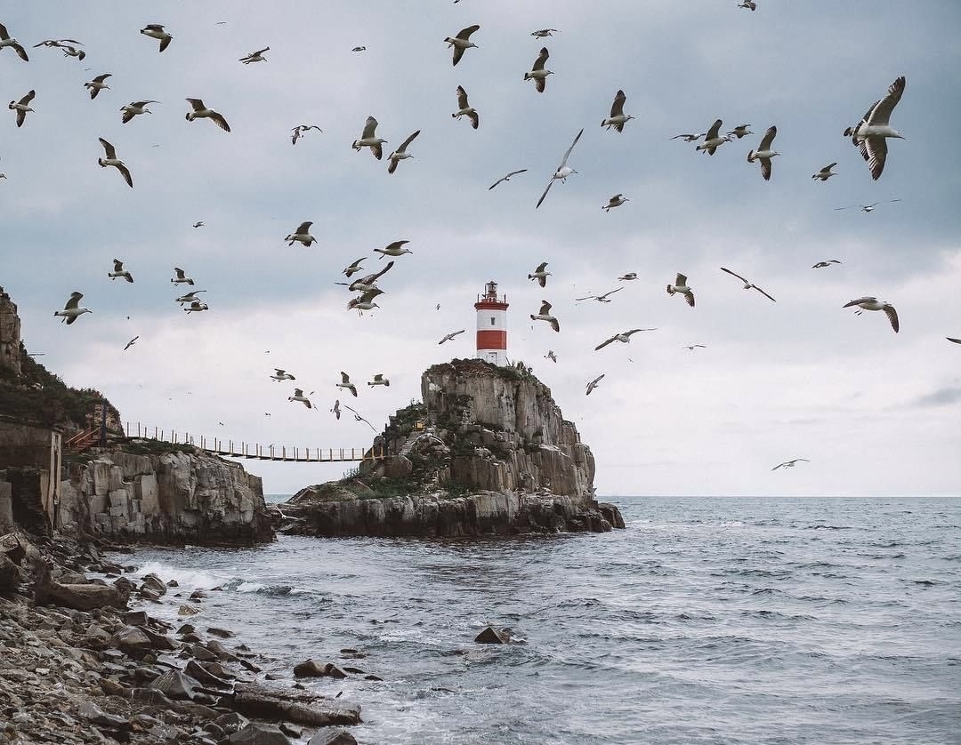 Фото взято с открытой площадки Pinterest