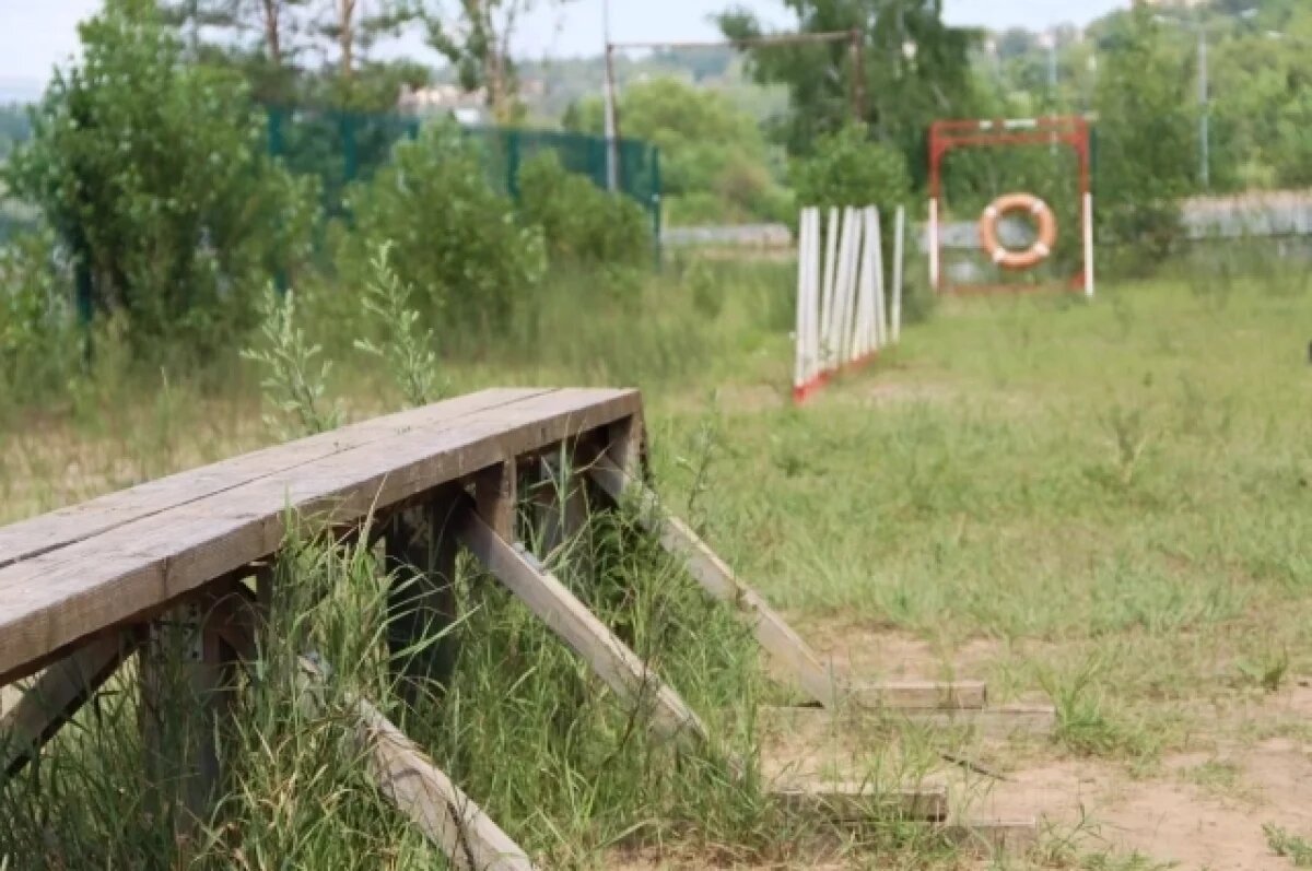    В Калуге построят две новые площадки для тренировки собак