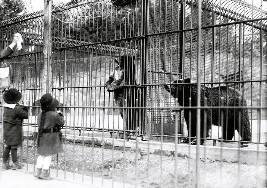 Архивное фото из открытых источников интернета.