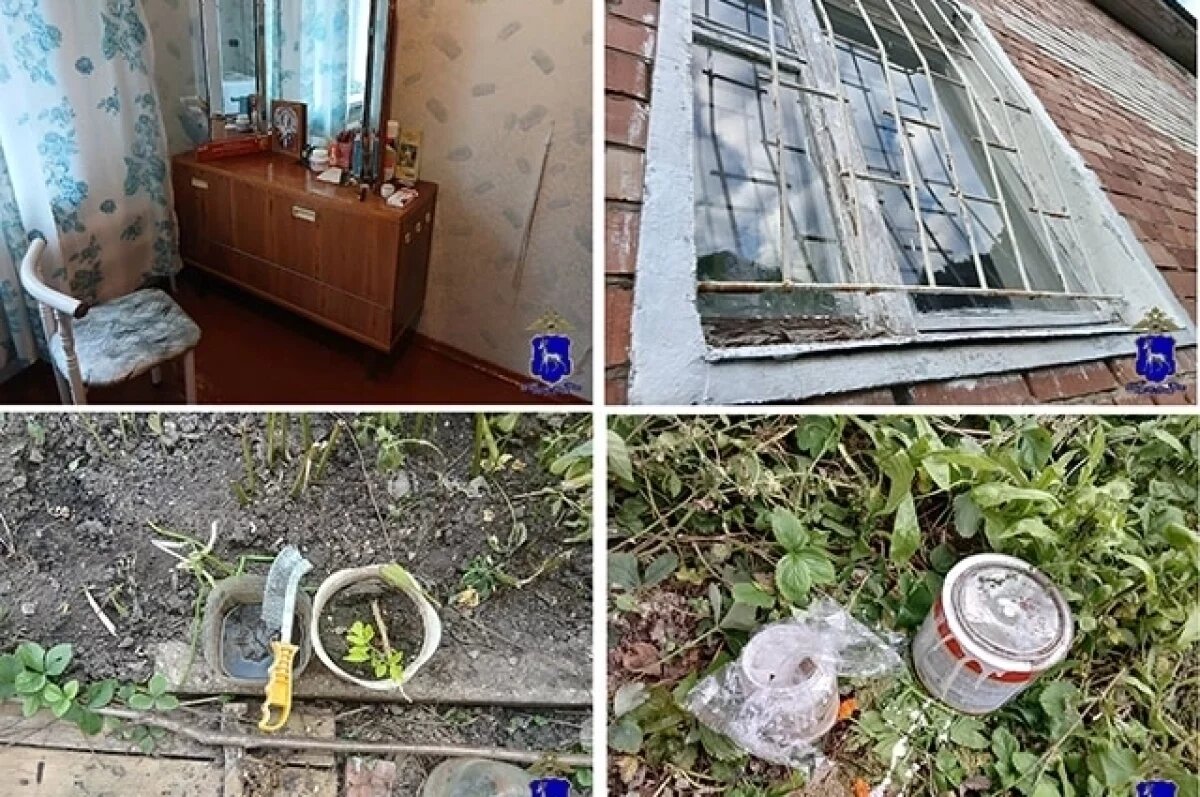    Самарец украл у нанявшей его красить окна пенсионерки 135 тысяч рублей