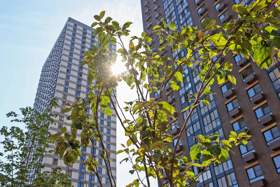    Сергей Петров/NEWS.ru