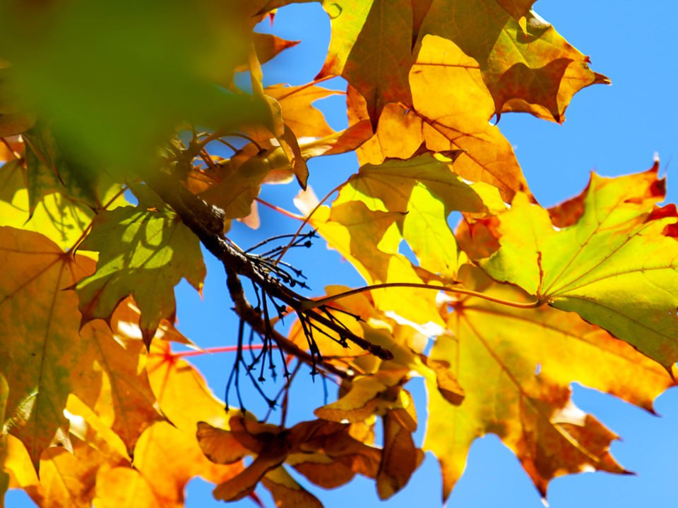    Фото: REGIONS/Роман Малышенко