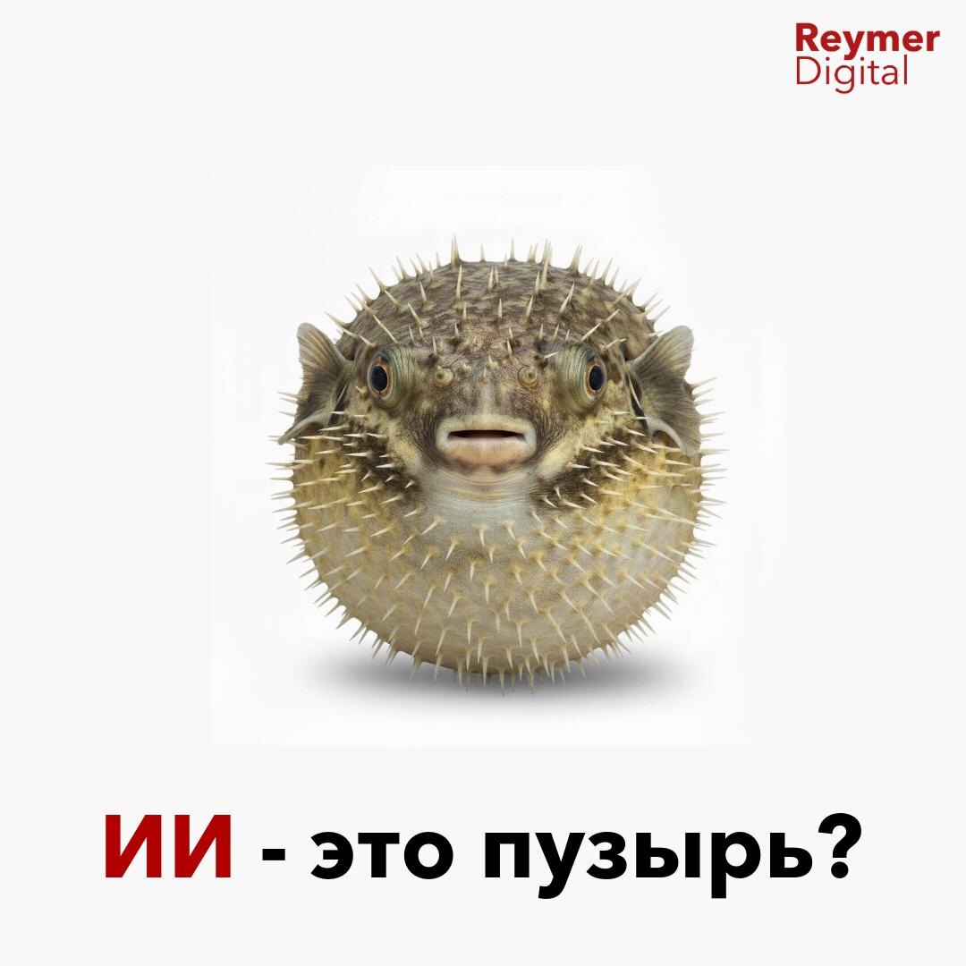 Почему 90% компаний исчезнут, как Pets.com