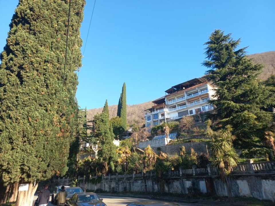    Абхазия. Источник: Олеся Веселкова/"Толк"