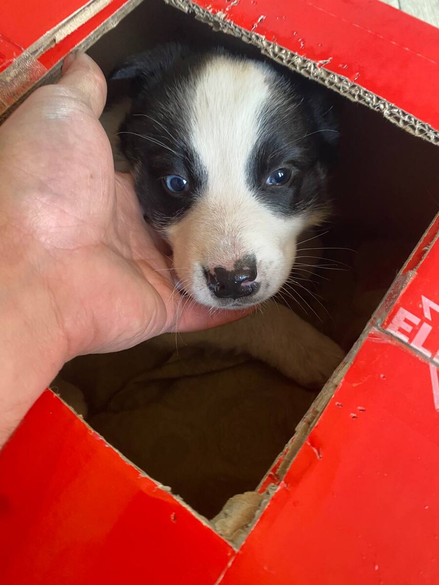 Снежная булочка❄️