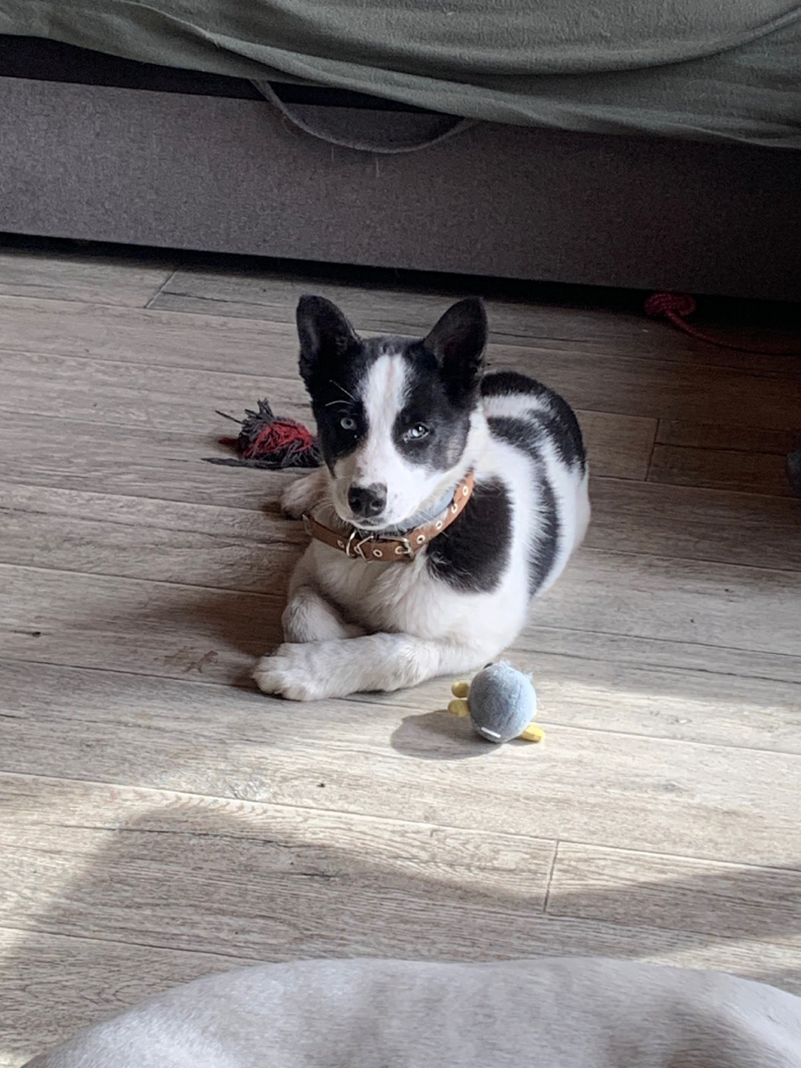 Серьезная снежинка ❄️😁