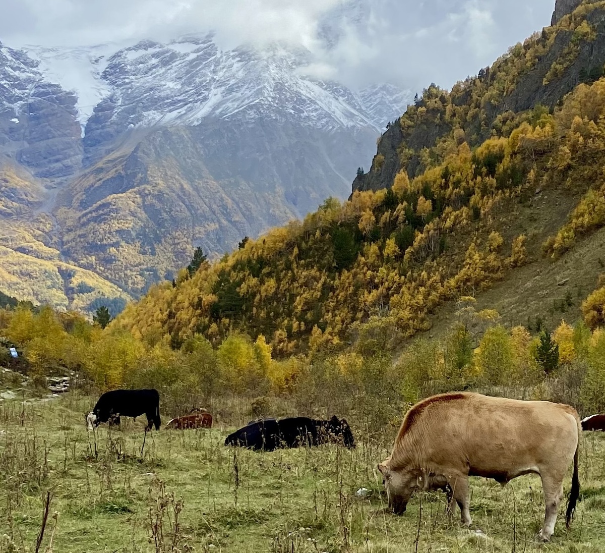 Хотите попасть в детские фотообои из 90-х: горы, снег на вершинах, синее небо