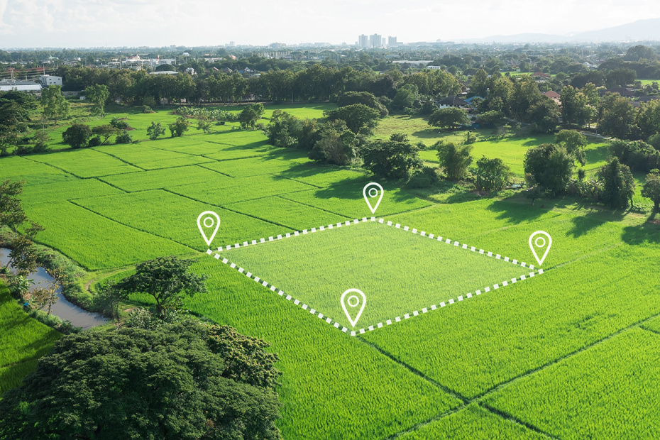    Shutterstock/FOTODOM