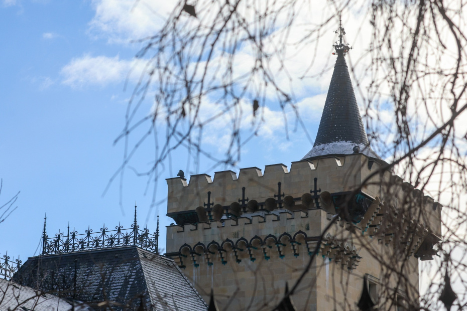    Наталья Шатохина/NEWS.ru