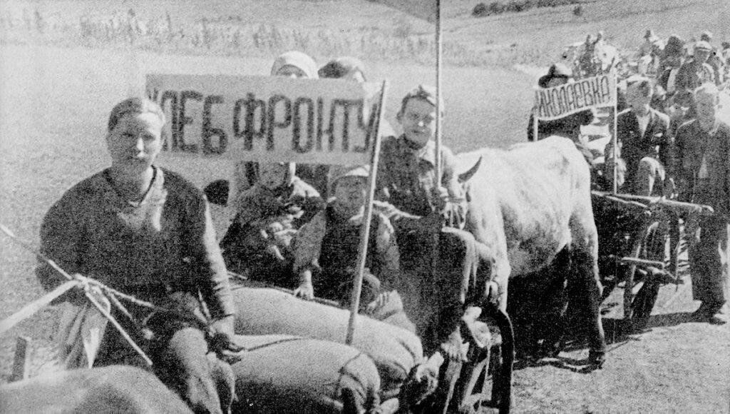 Фото из открытых источников