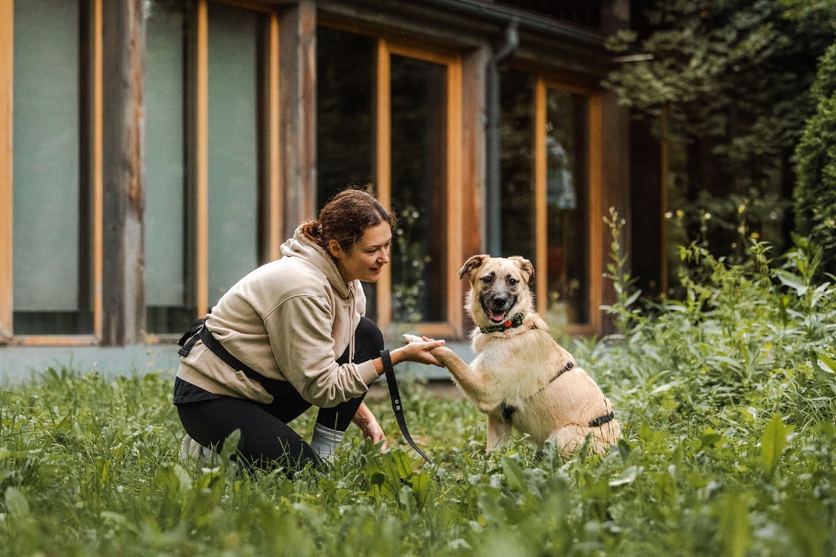 Очаровательная Дейнерис с удовольствием составит компанию в прогулках