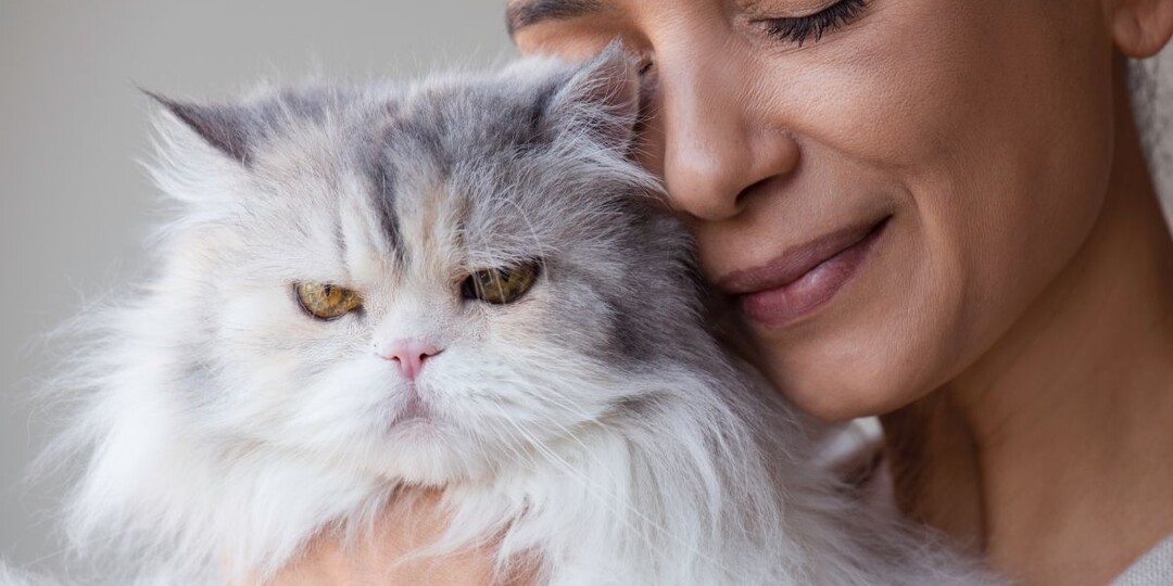 Как сказать кошке «Я тебя люблю» по-кошачьи: 6 сигналов, которые она точно поймёт