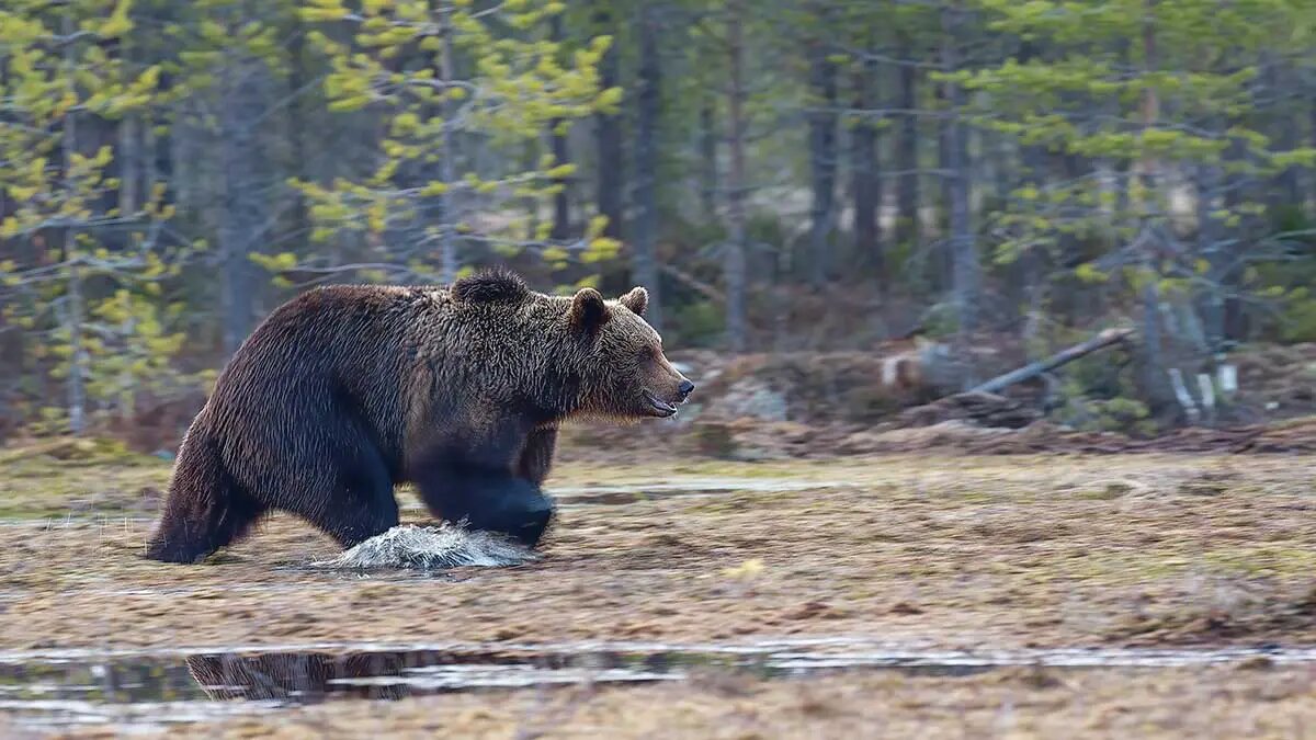    Фото: vm.ru Мария Михайлова