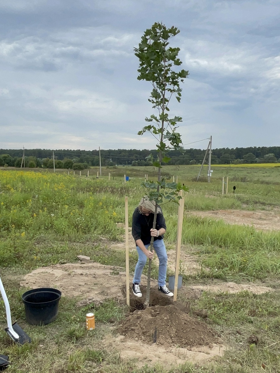 почему осень лучше весны для пересадки 