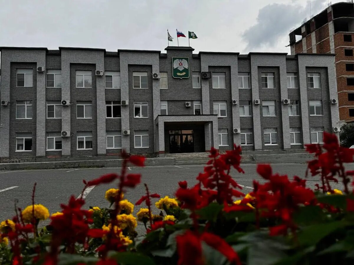 Фото:пресс-служба комитета по делам молодежи Ингушетии