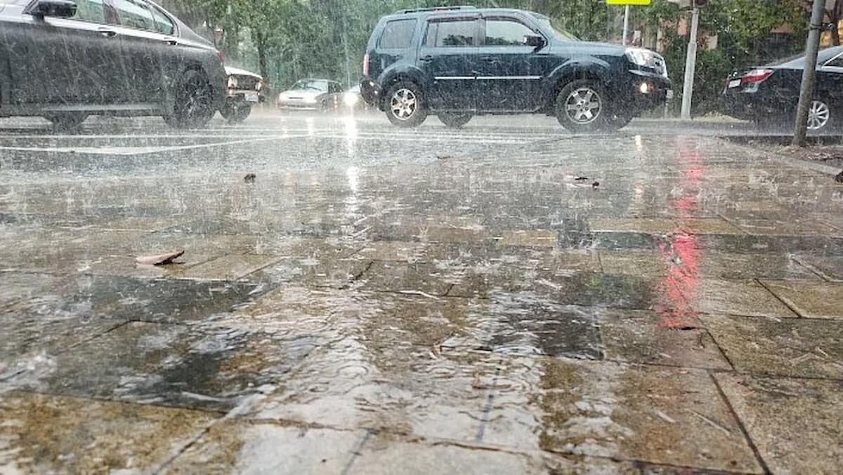    Фото t.me/officialsochi