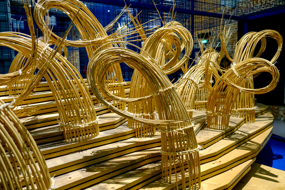   Элиза Данте / RTVI