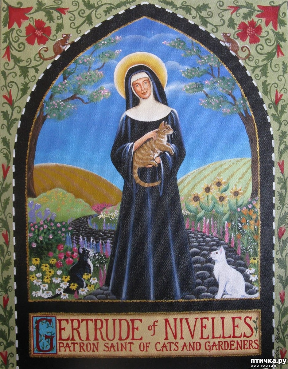Фото взято из интернета, информация про нее тоже.. Святая Гертруда Нивельская, почитаемая как в католической, так и в православной традиции, известна как защитница кошек и садоводов.
Она заняла место своей матери в качестве настоятельницы монастыря в Нивелле, на территории современной Бельгии. Гертруда славилась своим милосердием, гостеприимством к странникам и аскетичным образом жизни.
Изначально, в иконографии святой Гертруды изображали мышей и крыс, которых она, по преданию, смогла изгнать.
В XX веке она приобрела славу покровительницы кошек.
Гертруда Нивельская также считается заступницей путешественников и людей, страдающих от психических расстройств.