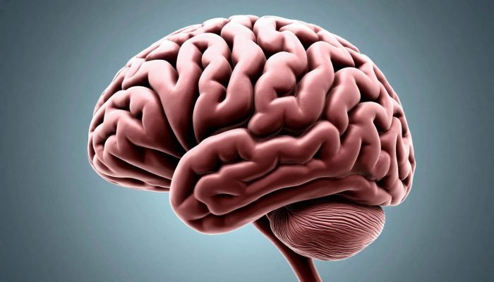 Изображение сгенерировано нейросетью с помощью сервиса «Шедеврум».